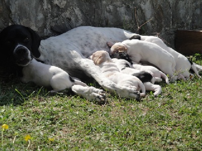 Des Neiges D'Azur - pic-nic